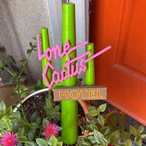 Sold out on website Candy Lab lone Cactus